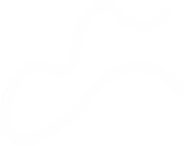 Vector 1