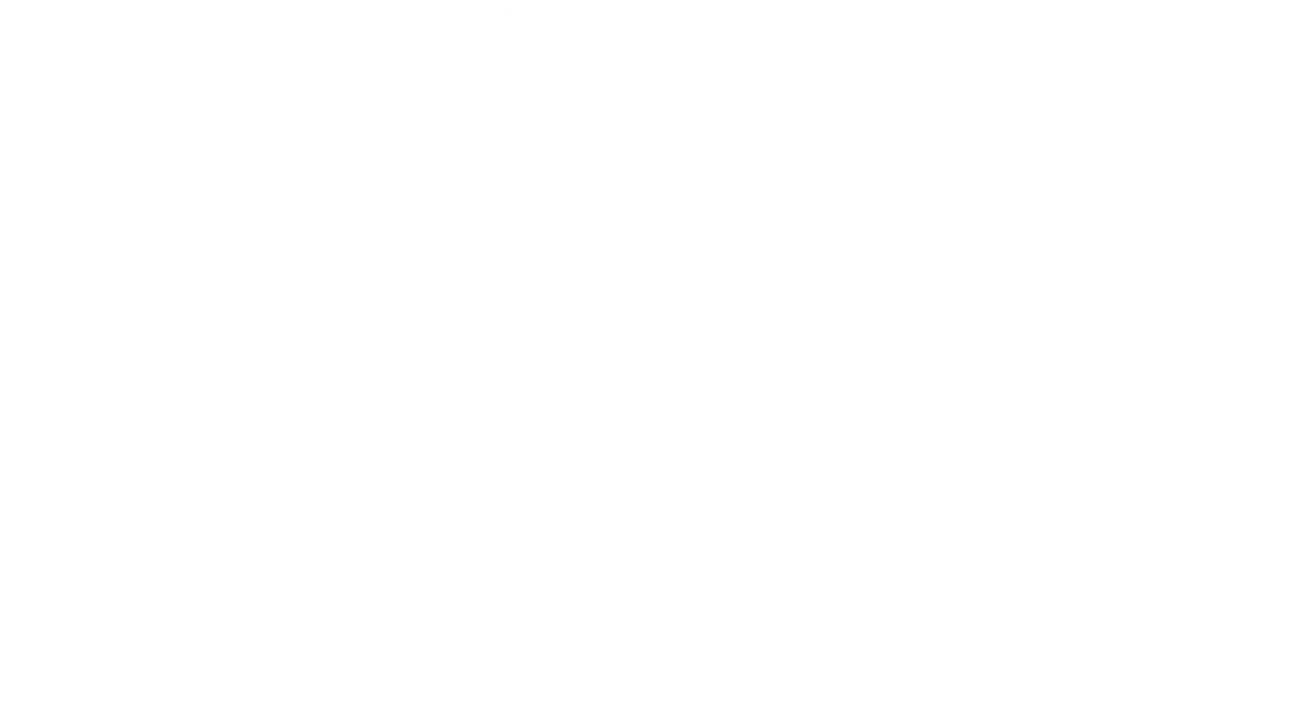 Vector 2